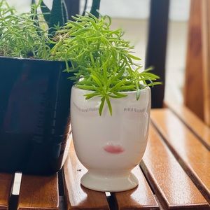 New***Face Planter